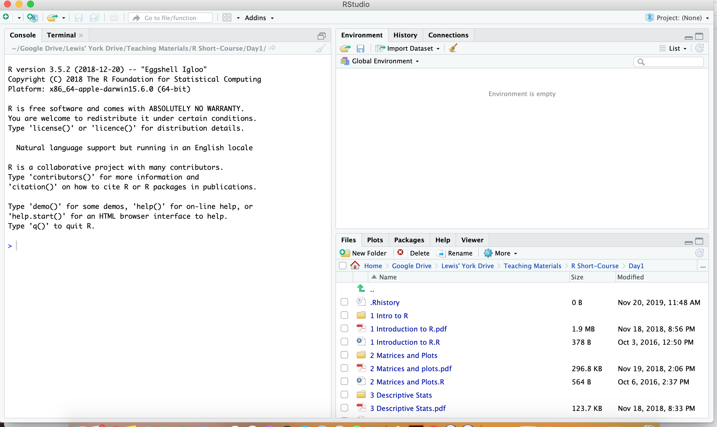 Orginal RStudio View.